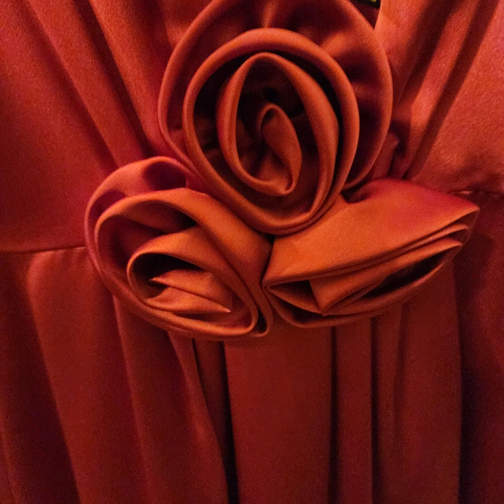 Gianni Bini Vibrant Red Satin Dress - Picture 3 of 4